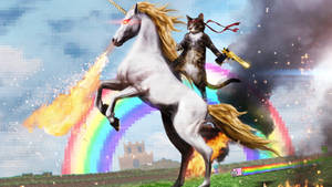 Cat On Unicorn Funny Meme Wallpaper