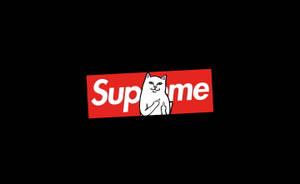 Cat Sitting On Supreme Laptop Wallpaper