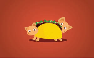 Cat Taco Cute Aesthetic Pc Wallpaper