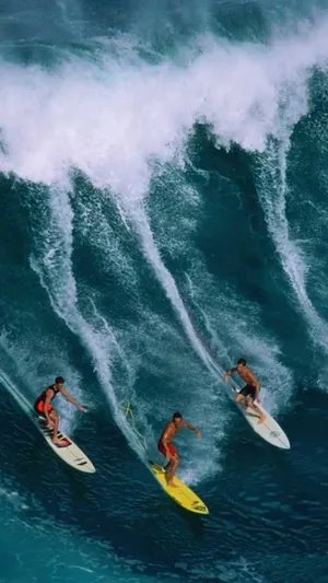 Catch The Perfect Wave With Your Iphone Wallpaper | WallpapersOK