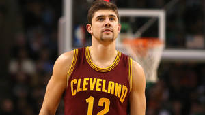 Cavalier Joe Harris Wallpaper