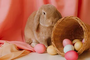 Celebrate Easter In Style With These Pastel-colored Decorations Wallpaper