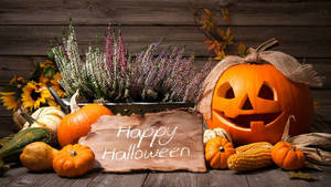 Celebrate Halloween With Fun And Joy Wallpaper