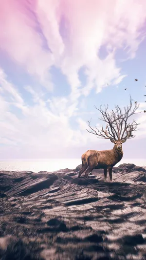 Celebrate Nature With A Deer Iphone Wallpaper