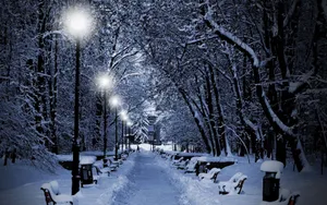 Celebrate The Change Of Seasons Wallpaper