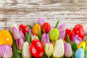 Celebrate The Splendor Of Easter With Colorful Eggs And Tulips Wallpaper