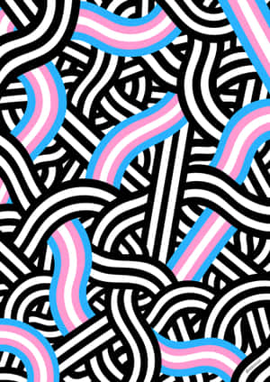 Celebrate Trans Pride In Solidarity! Wallpaper