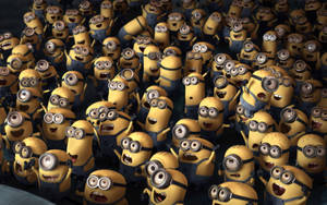 Celebrating Minions Despicable Me 2 Wallpaper