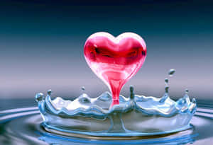 Celebrating Pure Love In All Its Beauty Wallpaper