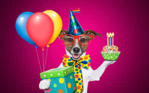 Celebratory Dogwith Birthday Cakeand Balloons.jpg Wallpaper