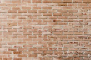 Cemented Orange Brick Wall Wallpaper