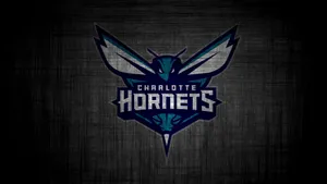 Charlotte Hornets Grayscale Art Wallpaper