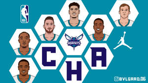 Charlotte Hornets Vector Art Wallpaper