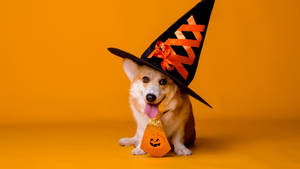 Charming Halloween Themed Desktop Wallpaper Wallpaper