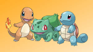 Check Out This Adorable Baby Squirtle! Wallpaper