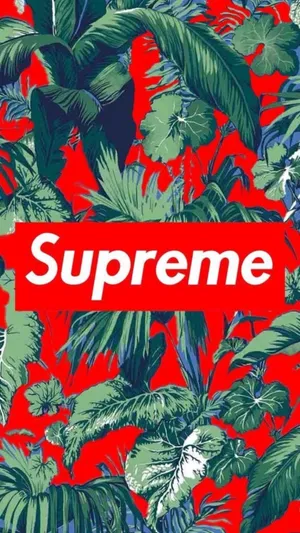 Check Out This Stylish And Modern Supreme Iphone Wallpaper