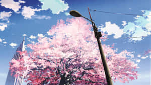 Cherry Blossom Urban Spring Anime Scene Wallpaper