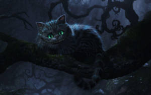 Cheshire Cat Dark Forest Wallpaper