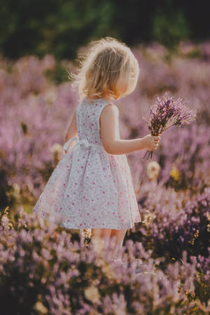 Child With Lavender Bouquet Wallpaper