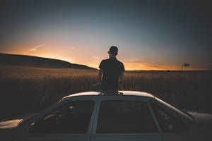 Chill On Car Roof Wallpaper