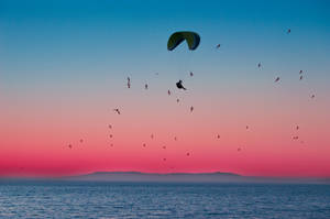 Chill Paragliding At Sunset Wallpaper