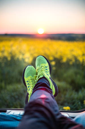 Chill Sunset Scene For Iphone Wallpaper