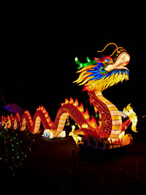 Chinese New Year Dragon Light Lantern Wallpaper