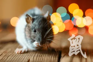 Chinese Symbol Rat Wallpaper