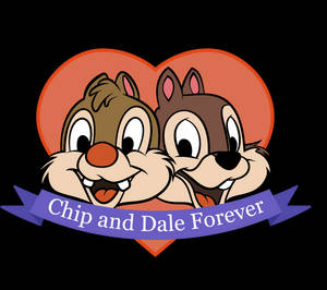 Chip N Dale On White Backdrop Wallpaper