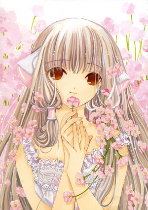 Chobits Chi Pink Blossoms Wallpaper