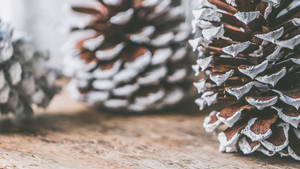 Christmas Aesthetic Pine Cones Wallpaper