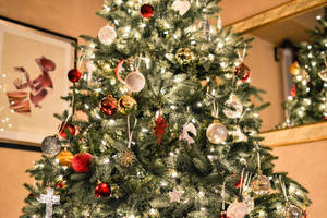 Christmas Lights Wrapped Tree Wallpaper