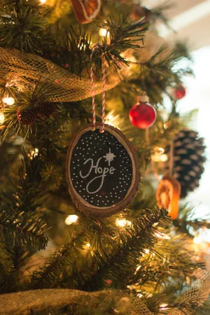Christmas Tree Hope Holiday Inscription Wallpaper