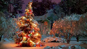 Christmas Tree In The Snowy Garden Wallpaper