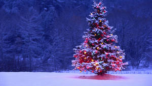 Christmas Winter Pine Tree Wallpaper