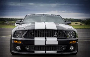 Chromed Cobra Ford Shelby Mustang Wallpaper