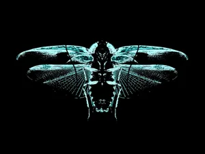 Cicada Cyan Blue Art Wallpaper