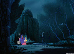 Cinderella Meets Her Fairy Godmother Wallpaper
