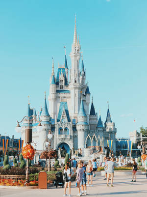 Cinderella's Castle Theme Park Wallpaper