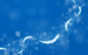 Circles, Glitter, Line, Light Wallpaper