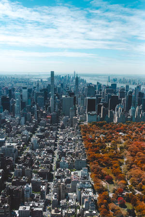 City Buildings Vs Nature Central Park Wallpaper