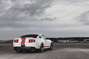 Clean White Ford Shelby Mustang Wallpaper