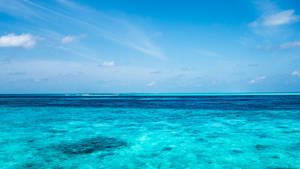 Clear Sea Waters Horizon Wallpaper