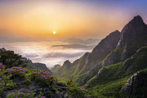 Clear Sky South Korea Valley Wallpaper