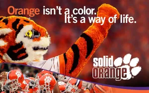 Clemson Tigers Football Team Mascot Wallpaper