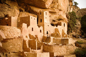 Cliff Palace Mesa Verde Colorado Wallpaper