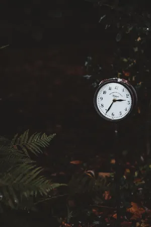 Clock On The Ground Wallpaper