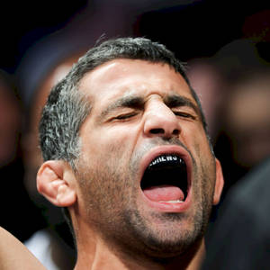 Close-up Beneil Dariush Wallpaper