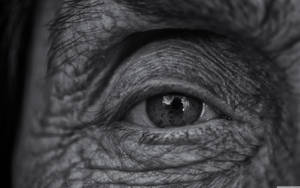 Close Up Detail Of An Aged Woman's Eye Wallpaper