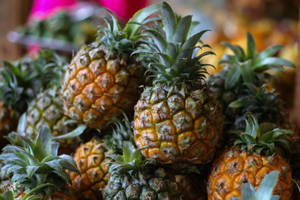 Close-up Of Pineapple Pile Wallpaper